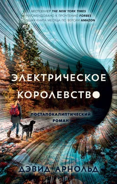 Дэвид Арнольд Электрическое королевство обложка книги