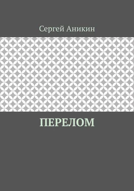 Сергей Аникин Перелом обложка книги