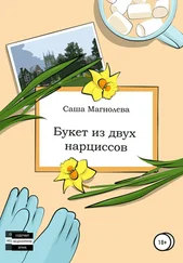 Саша Магнолева - Букет из двух нарциссов