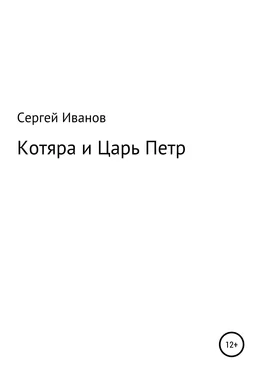 Сергей Иванов Котяра и Царь Петр обложка книги