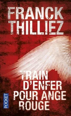 Franсk Thilliez Train d'enfer pour Ange rouge обложка книги