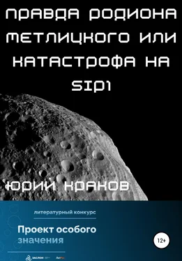 Юрий Краков Правда Родиона Метлицкого или катастрофа на SIP1 обложка книги