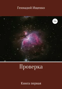 Геннадий Ищенко Проверка. Книга первая обложка книги
