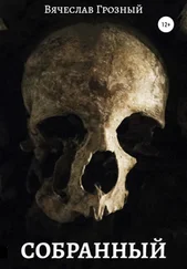 Вячеслав Грозный - Собранный