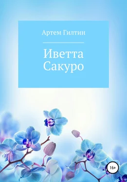 Артем Гилтин Иветта Сакуро обложка книги