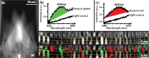 Figure 19 Hyperspectral analysis of a single valve of Coscinodiscus centralis - фото 10