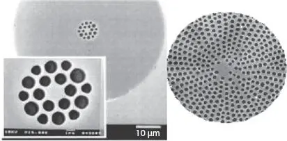Figure 12 Comparison of diatom defects and manmade photonic crystal fiber - фото 3