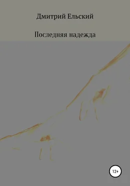 Дмитрий Ельский Последняя надежда обложка книги