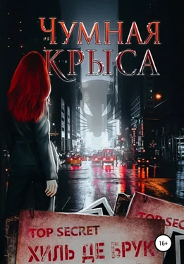 Хиль де Брук Чумная крыса обложка книги