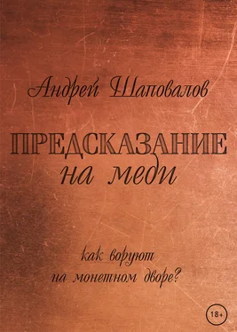 Андрей Шаповалов Предсказание на меди обложка книги