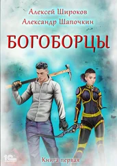 Александр Шапочкин - Богоборцы. Книга 1