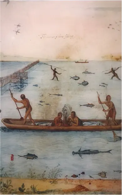 Figure 22 Algonquian fish harvesting watercolor by John White during Sir - фото 8