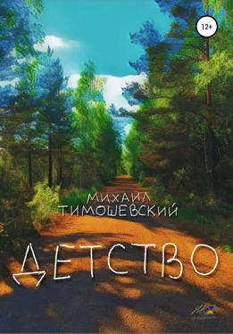 Михаил Тимошевский Детство обложка книги