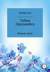 Елена Сон - Тайна Эдельвейса. Начало пути.