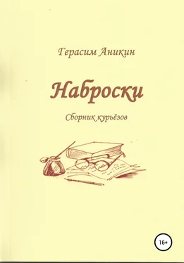 Герасим Аникин Наброски обложка книги