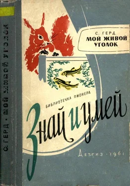 Сергей Герд Мой живой уголок обложка книги