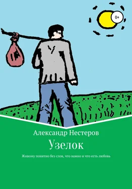 Александр Нестеров Узелок обложка книги