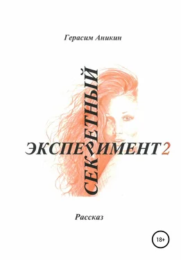 Герасим Аникин Секретный эксперимент 2 обложка книги