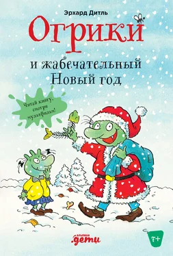 Эрхард Дитль Огрики и жабечательный Новый год обложка книги