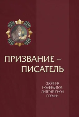 Array Сборник Призвание – писатель. Том 2 обложка книги