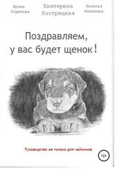 Екатерина Кастрицкая - Поздравляем, у вас будет щенок!
