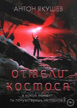 Антон Якушев Отмели космоса обложка книги