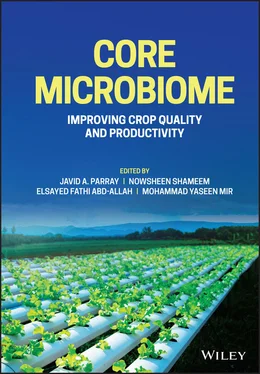 Неизвестный Автор Core Microbiome обложка книги