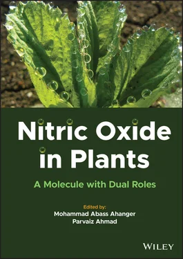 Неизвестный Автор Nitric Oxide in Plants обложка книги