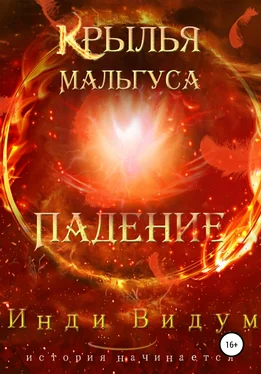 Инди Видум Крылья Мальгуса. Падение обложка книги