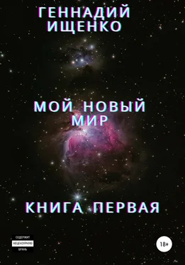 Геннадий Ищенко Мой новый мир. Книга 1 обложка книги