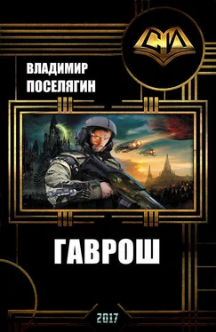 Владимир Поселягин Гаврош (СИ) обложка книги