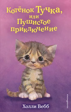 Холли Вебб Котёнок Тучка, или Пушистое приключение обложка книги