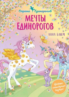 Анна Блюм Мечты единорогов обложка книги