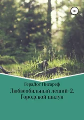 ГераДот Писареф - Любвеобильный леший – 2. Городской шалун
