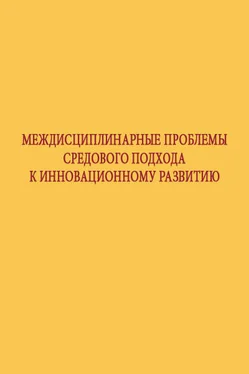 Коллектив авторов Междисциплинарные проблемы средового подхода к инновационному развитию обложка книги