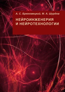 А. Брюховецкий Нейроинженерия и нейротехнологии обложка книги