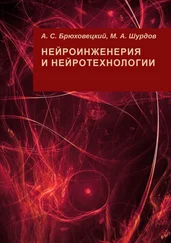 А. Брюховецкий - Нейроинженерия и нейротехнологии