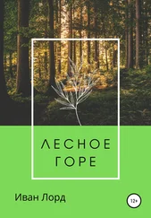 Иван Лорд - Лесное горе