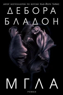 Дебора Бладон Мгла (ЛП) обложка книги