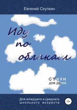 Евгений Скулкин Иду по облакам… обложка книги