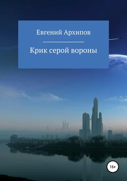 Евгений Архипов Крик серой вороны обложка книги