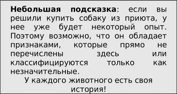 Послушный Золотистый ретривер очень послушная собака Когдато он был - фото 3