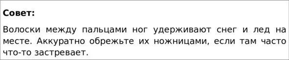 Перед входом в квартиру помойте лапы собаки теплой водой Имеет смысл поставить - фото 8