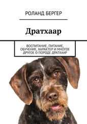 Роланд Бергер - Дратхаар. Воспитание, питание, обучение, характер и многое другое о породе дратхаар