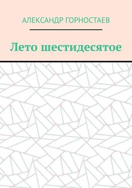 Александр Горностаев Лето шестидесятое обложка книги