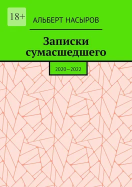 Альберт Насыров Записки сумасшедшего. 2020—2022 обложка книги