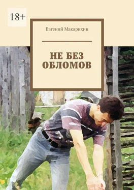 Евгений Макарихин Не без обломов обложка книги