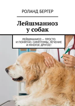 Роланд Бергер Лейшманиоз у собак. Лейшманиоз – просто и понятно. Симптомы, лечение и многое другое! обложка книги