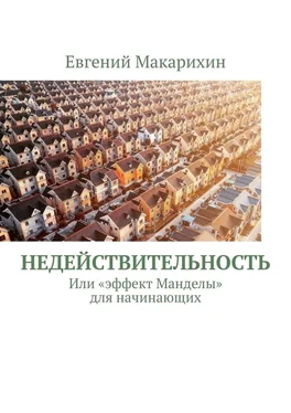 Евгений Макарихин Недействительность. Или «эффект Манделы» для начинающих обложка книги