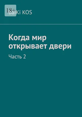 baiKi KOS Когда мир открывает двери. Часть 2 обложка книги